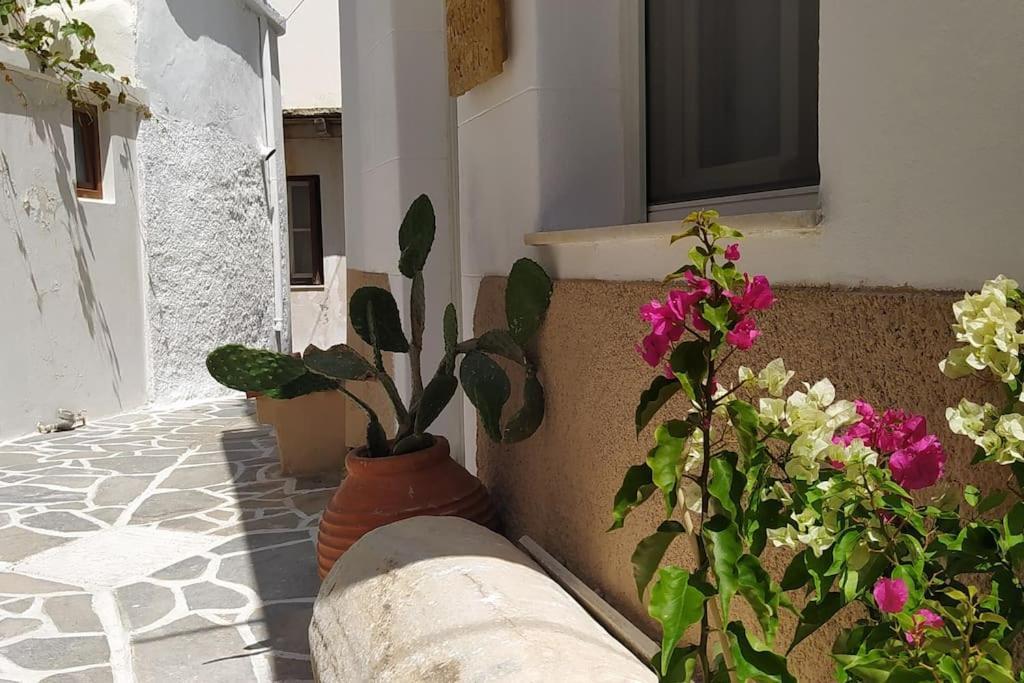 Naxion Esti - Διαμονή Στην Παλιά Χώρα Της Νάξου Villa Naxos City Exterior foto